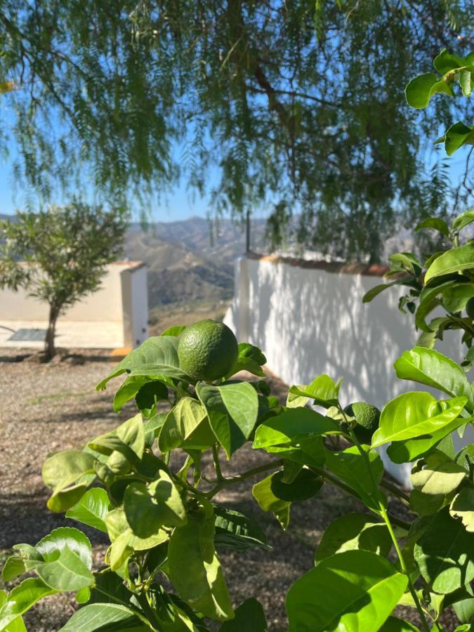 Vila Casa Del Burro Perezoso Almáchar Exteriér fotografie