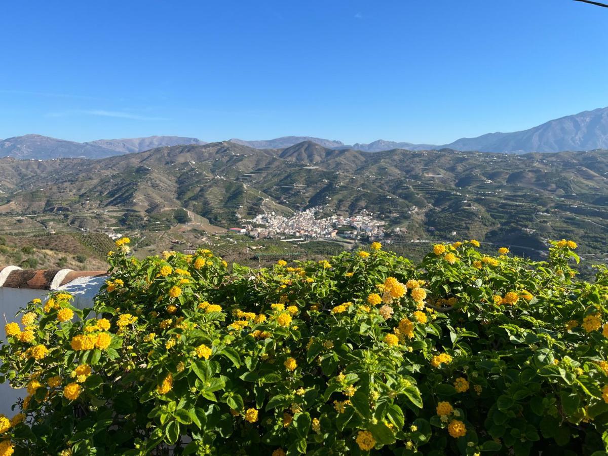 Vila Casa Del Burro Perezoso Almáchar Exteriér fotografie